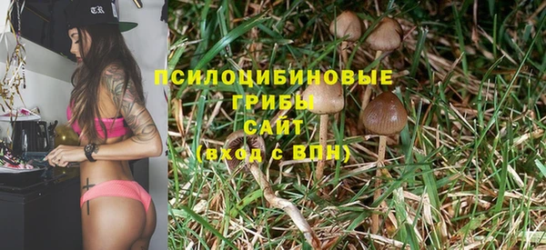 ALPHA-PVP Арсеньев