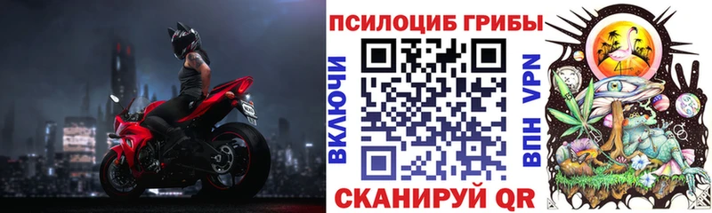 блэк спрут как войти  купить наркоту  Палласовка  Псилоцибиновые грибы Cubensis 